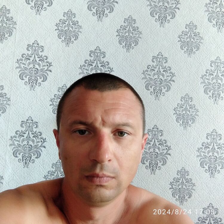  45694308  , 41 ,    