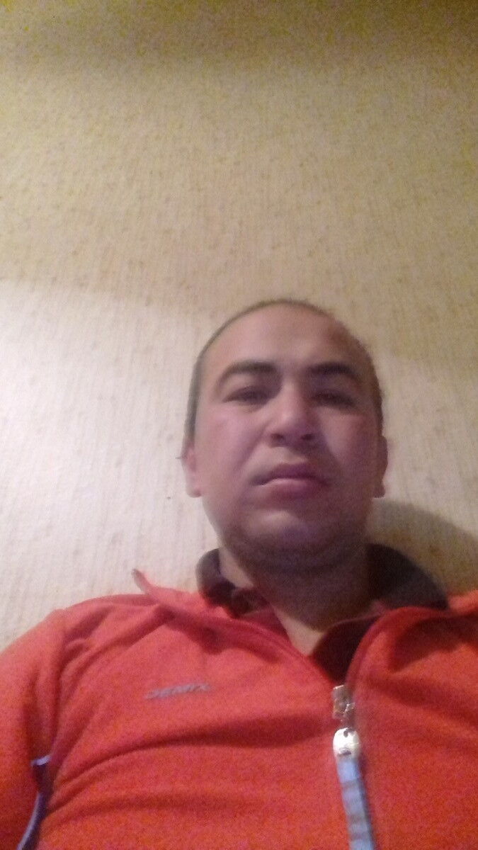  8177968  , 39 ,    -