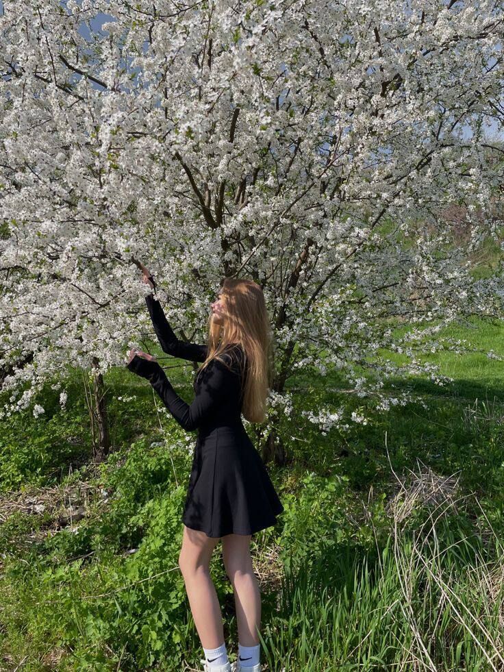 ���������� ������, ���� ������� ����, 34 ����, ������������ ��� ����� � ���������, c�������� ���������