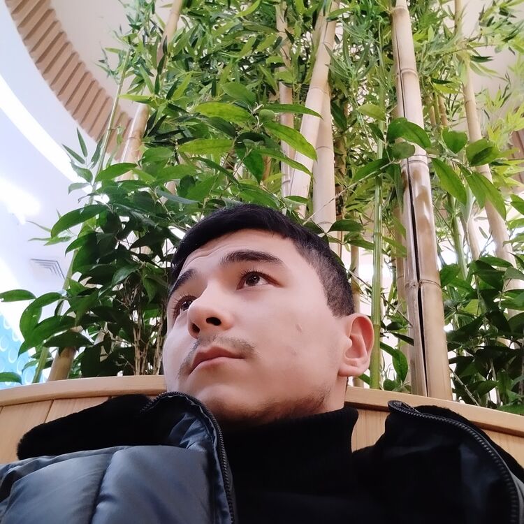 ���� 42488388 ������� ����, 26 ���, ���� ���������� � ������