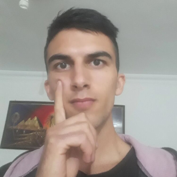  24461338  , 23 ,    