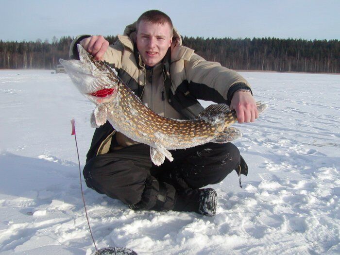 ���� 33513718 ������� �����, 32 ����, ���� ���������� � ������-���