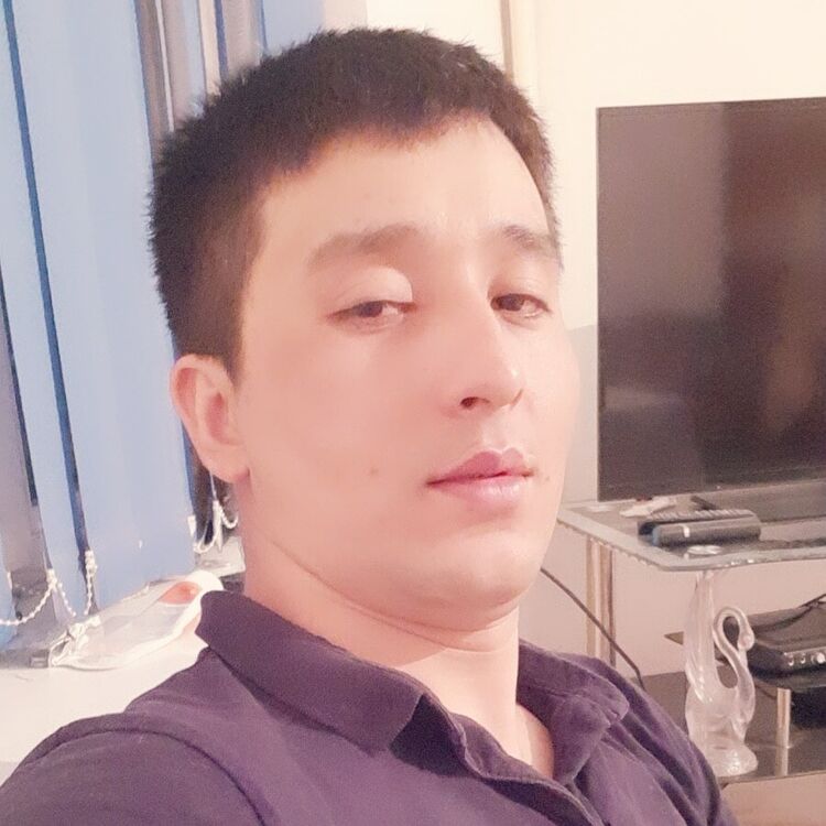  24695848  , 33 ,    