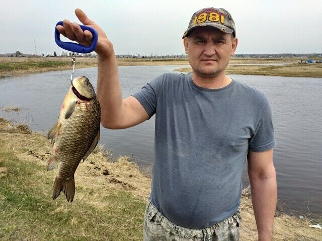 ���� 20504658 ������� ������, 55 ���, ���� ���������� � �����