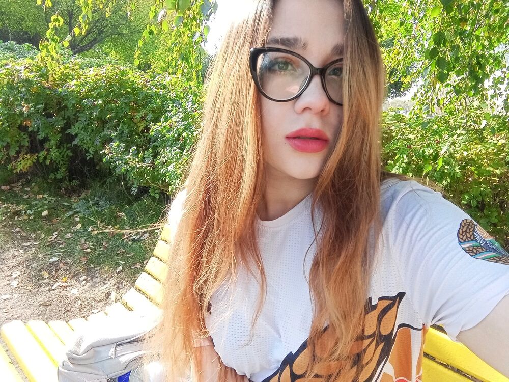  48075978  , 20 ,    -