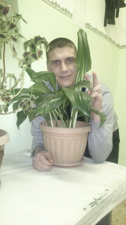 ���������� �����, ���� ������� ������, 42 ����, ������������ ��� ������, ����� � ���������, c�������� ���������