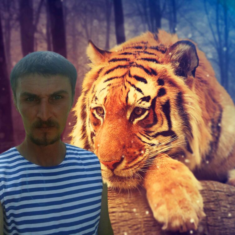 ���� 24890758 ������� ����, 38 ���, ���� ���������� � ������