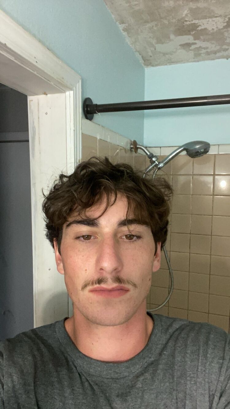  49872868  Sal, 20 ,    Bow