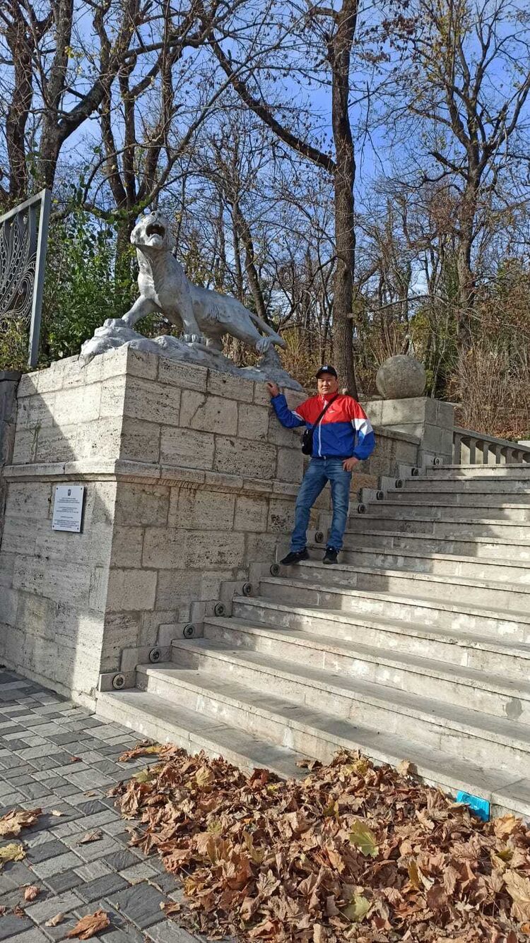 ���� 41152688 ������� �������, 43 ����, ���� ���������� � �������