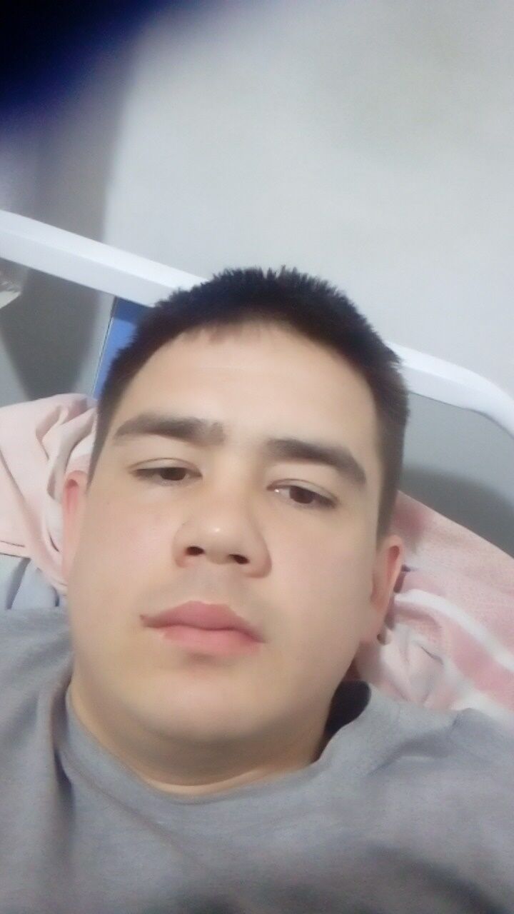 49183518  , 28 ,    