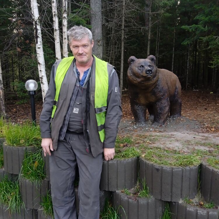 ���� 39437618 ������� ���������, 50 ���, ���� ���������� � �����