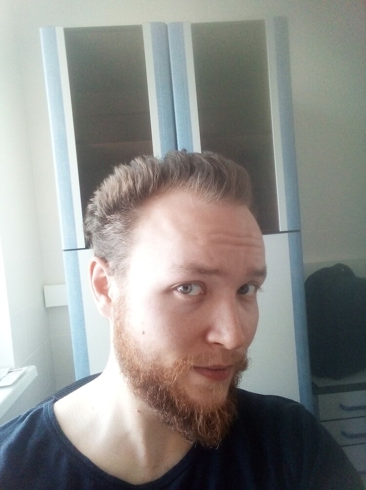 36606768  , 31 ,    -