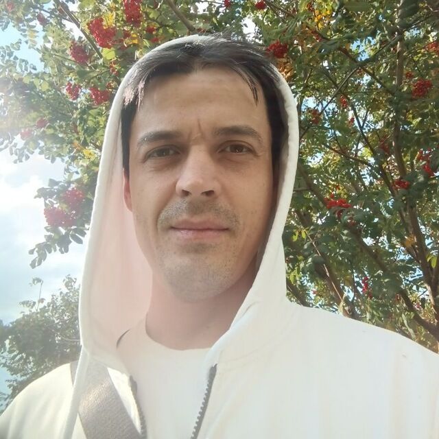 ���� 55379288 ������� �����, 41 ���, ���� ���������� � ���������� ������