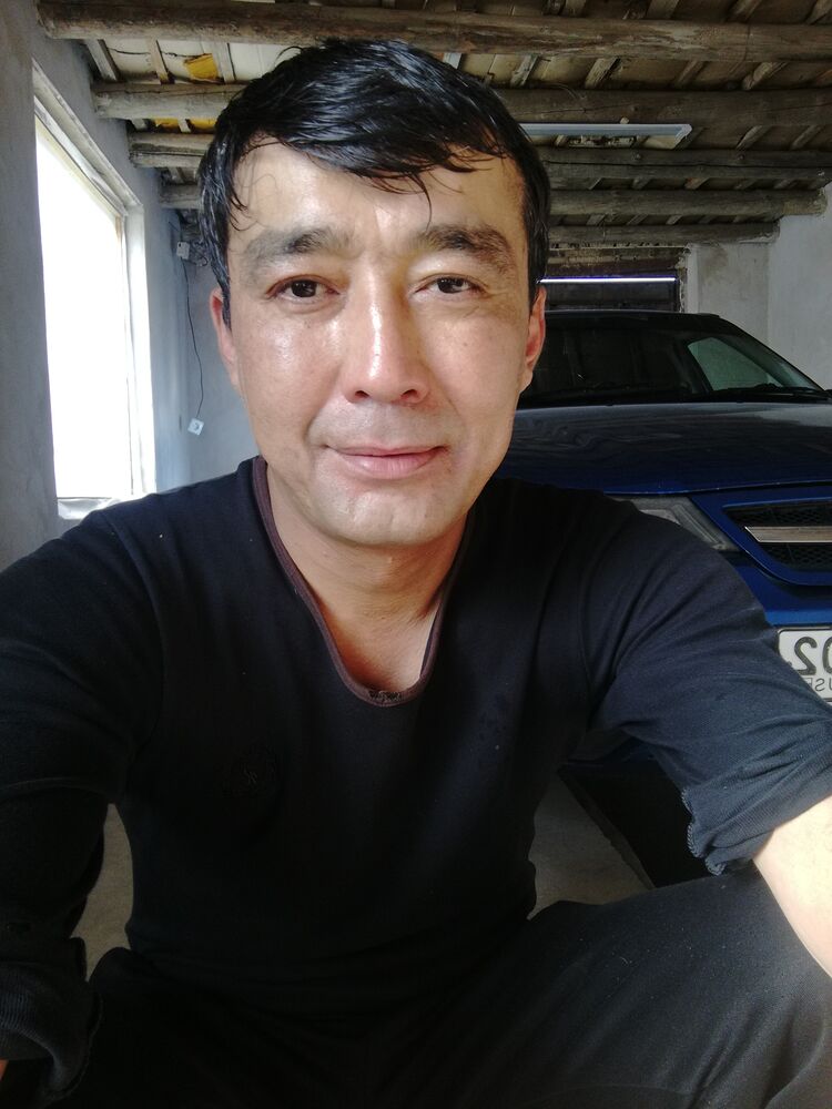  22827028  , 43 ,    