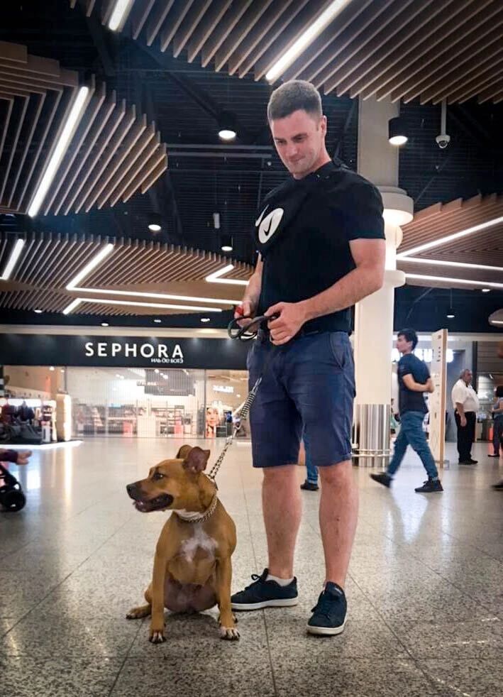  39860118  , 37 ,    -