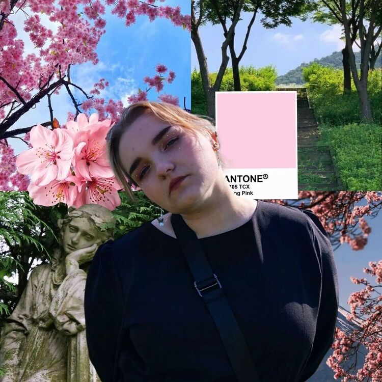 ���������� �����, ���� ������� ����, 19 ���, ������������ ��� ���������