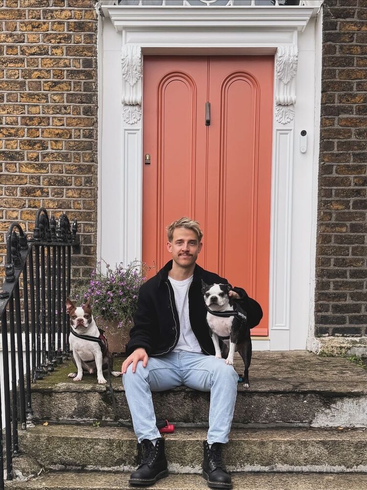  54595238  , 34 ,    -