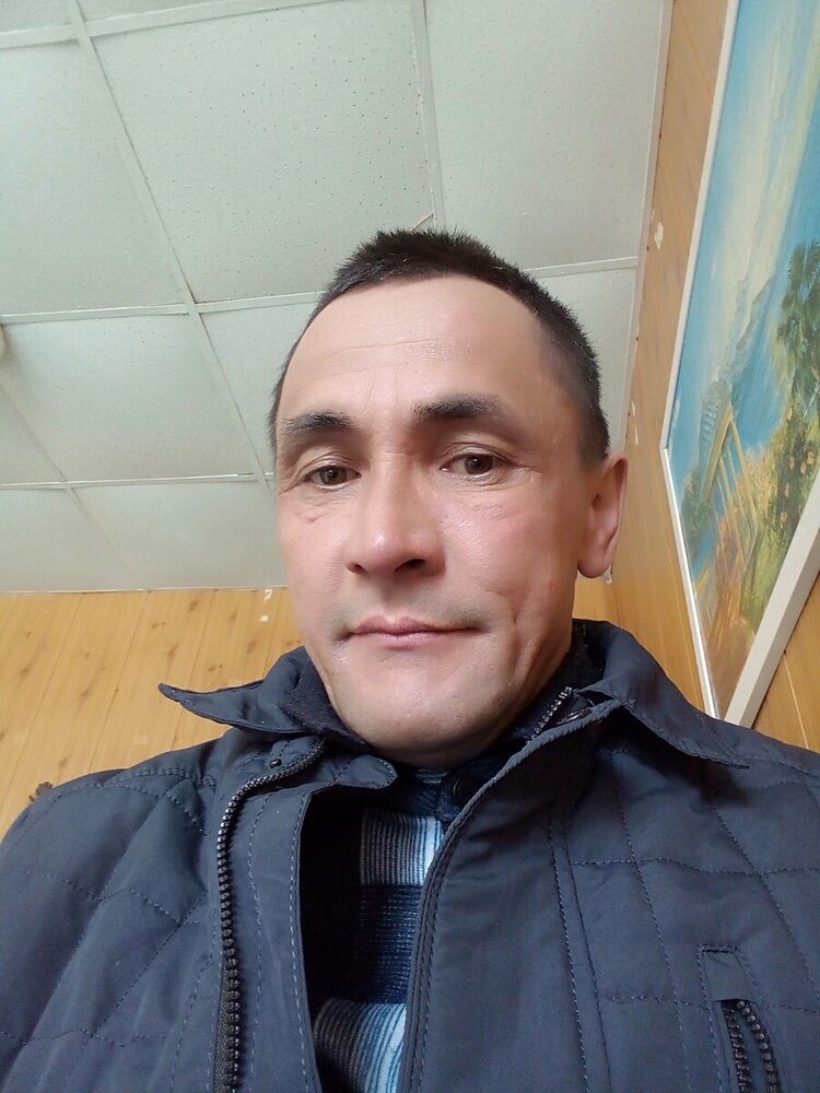  20426528  , 49 ,    
