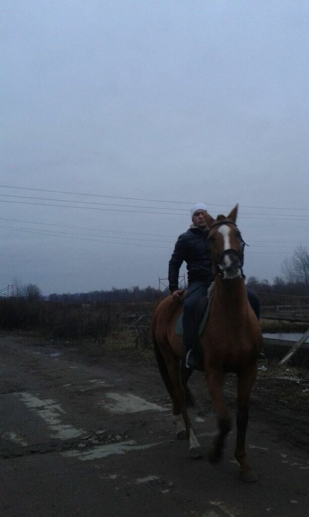 ���� 19136098 ������� ����, 36 ���, ���� ���������� � ������������