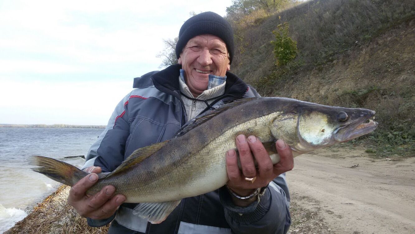 ���� 48317488 ������� ������, 68 ���, ���� ���������� � ������ �������