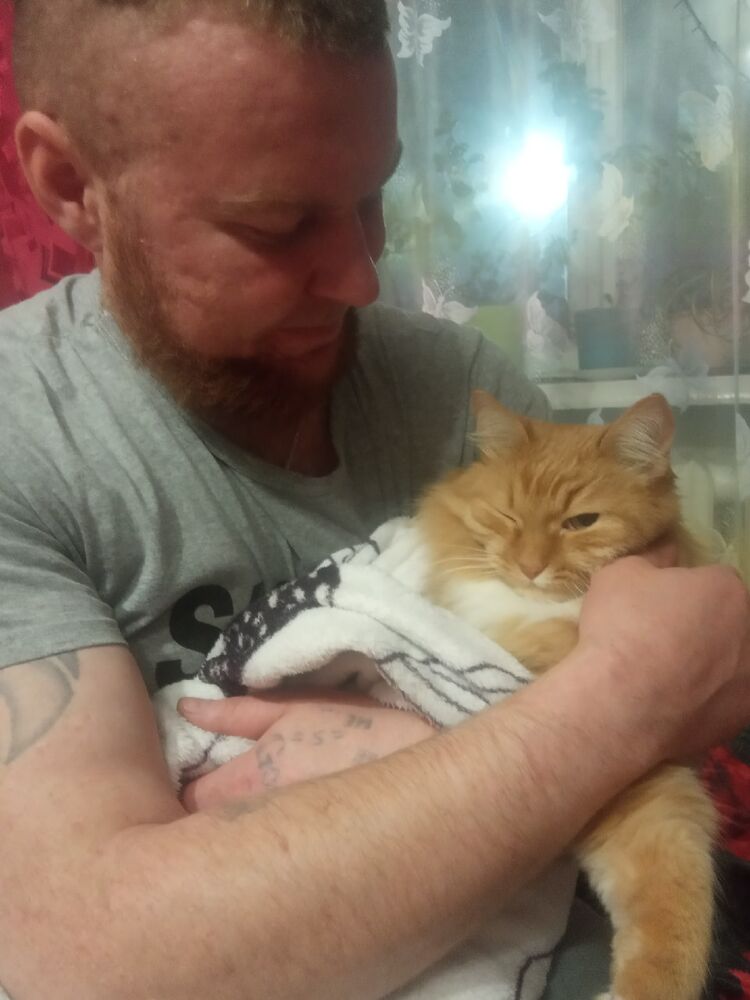 ���������� ���������, ���� ������� Sergey, 39 ���, ������������ ��� ������, ����� � ���������, c�������� ���������, ���������