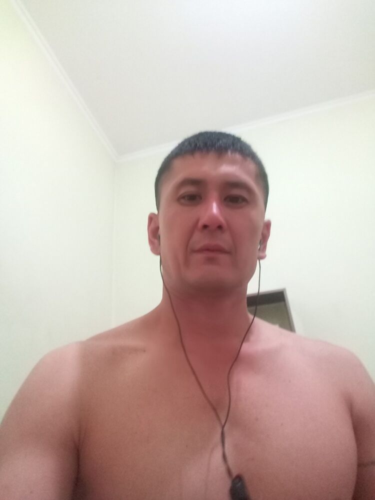  12337098  , 41 ,    