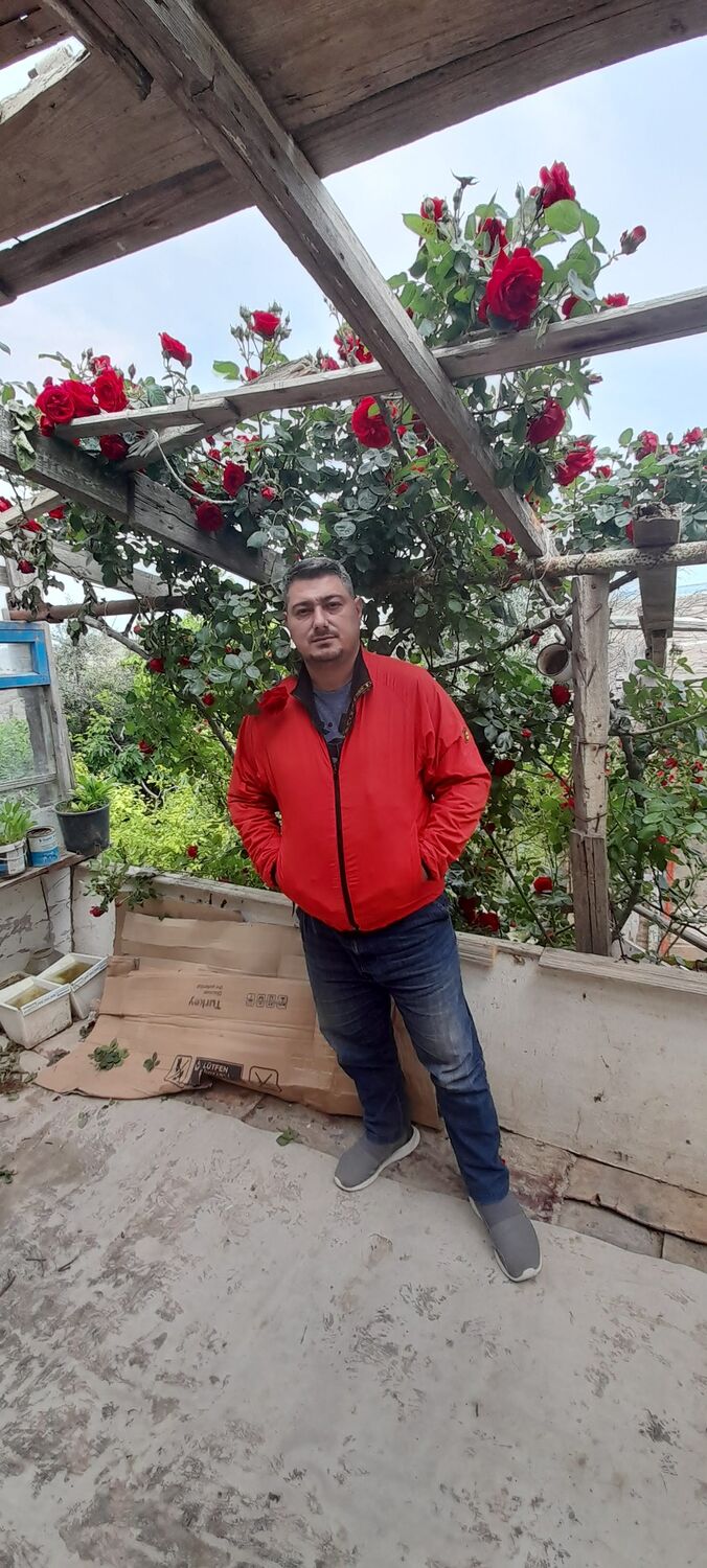  ,   , 43 ,   ,   