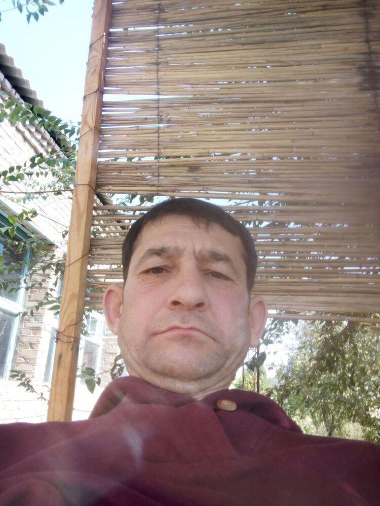  46969078  , 41 ,    