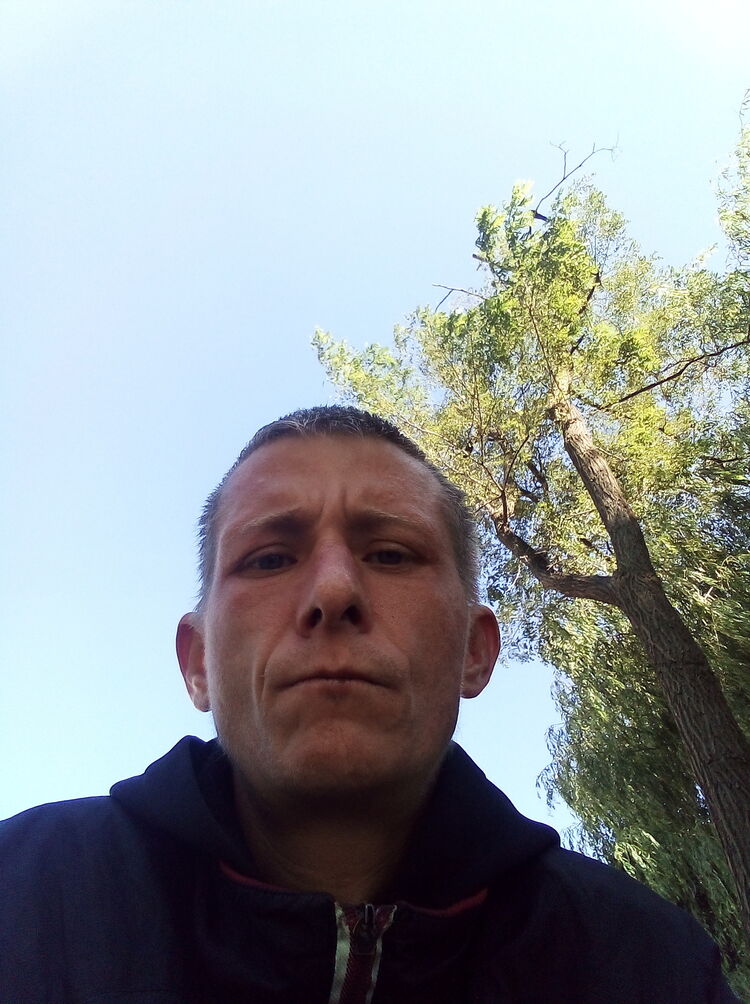 ���� 37508008 ������� ������, 40 ���, ���� ���������� � ������������