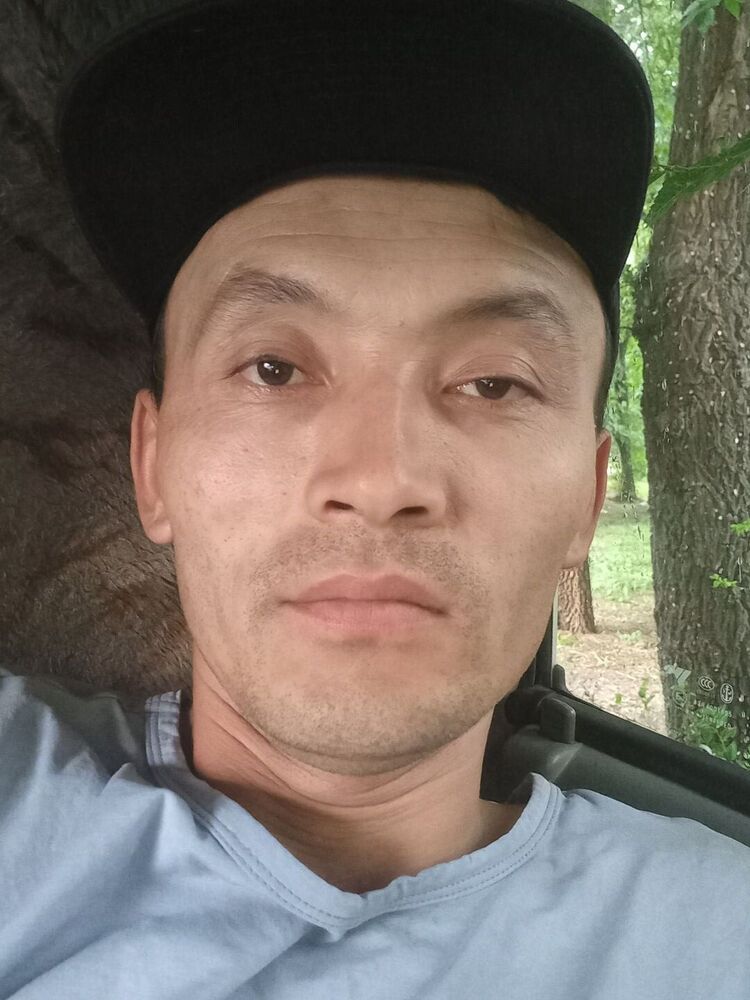 ���� 26691848 ������� ������, 36 ���, ���� ���������� � ������