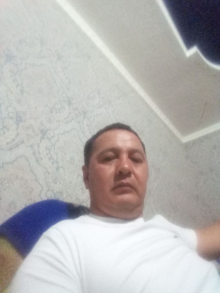  20381408  , 46 ,    