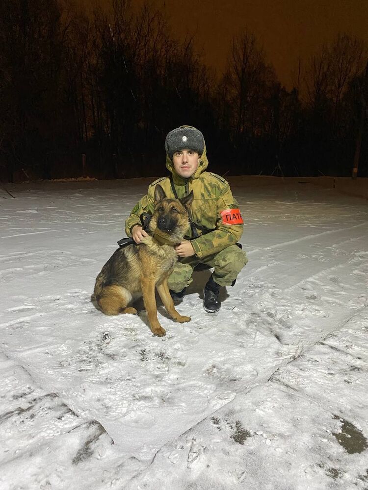 ���� 31312938 ����� ����, 23 ����, ���� ���������� � ����������