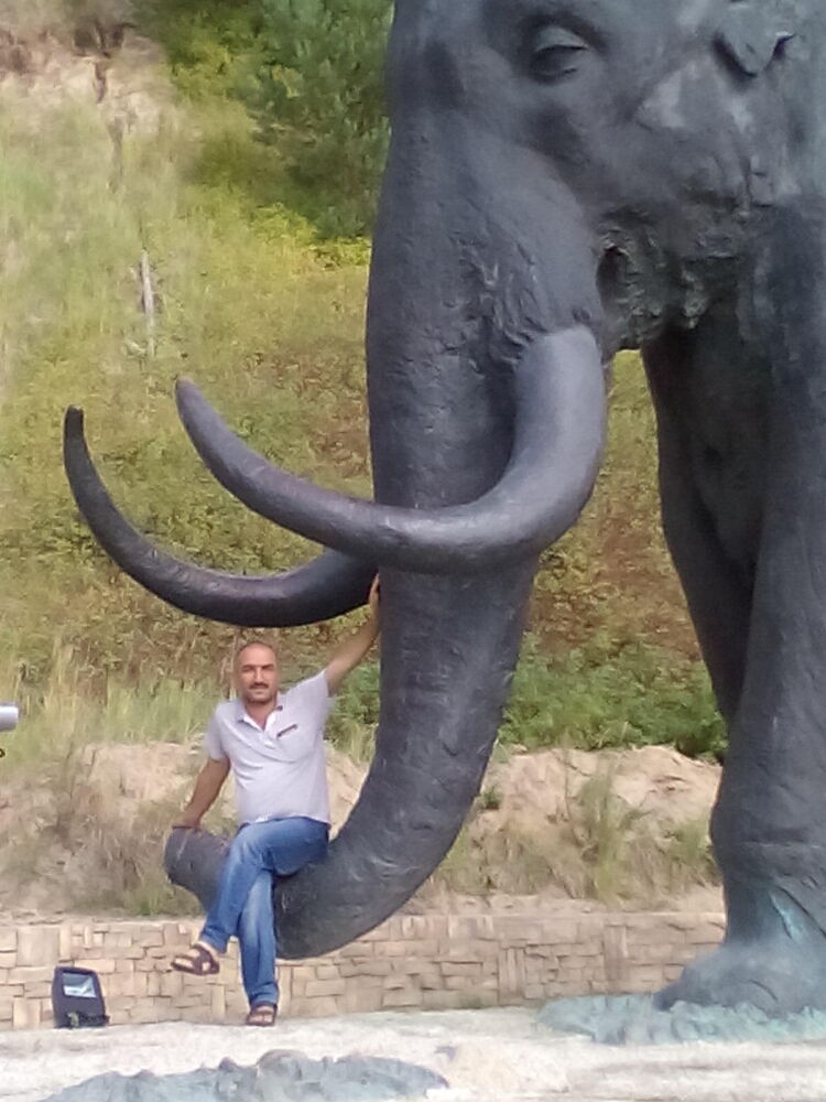  ,   , 55 ,     