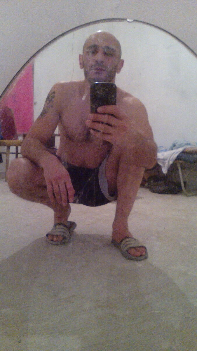  8356538  , 45 ,    