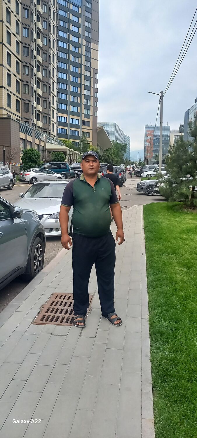 ���� 44622188 ������� �����, 42 ����, ���� ���������� � ����������