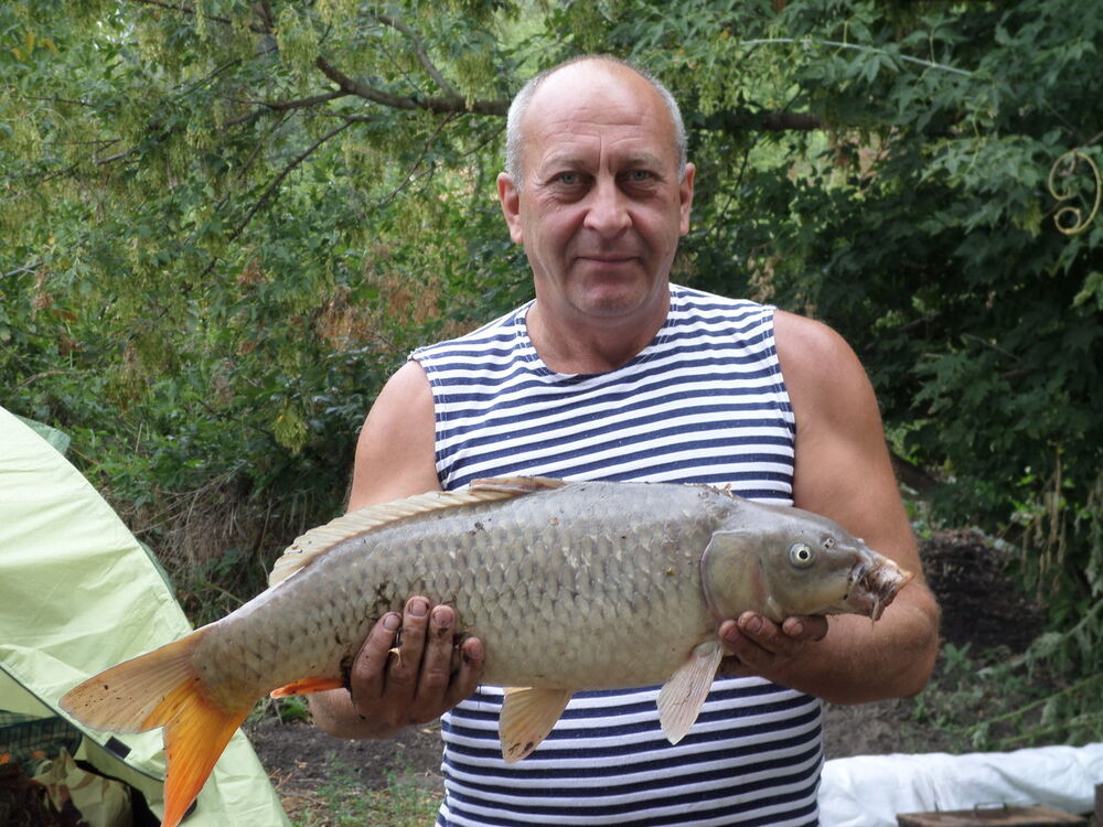 ���������� �������, ���� ������� �����, 62 ����, ������������ ��� ������, ����� � ���������, c�������� ���������