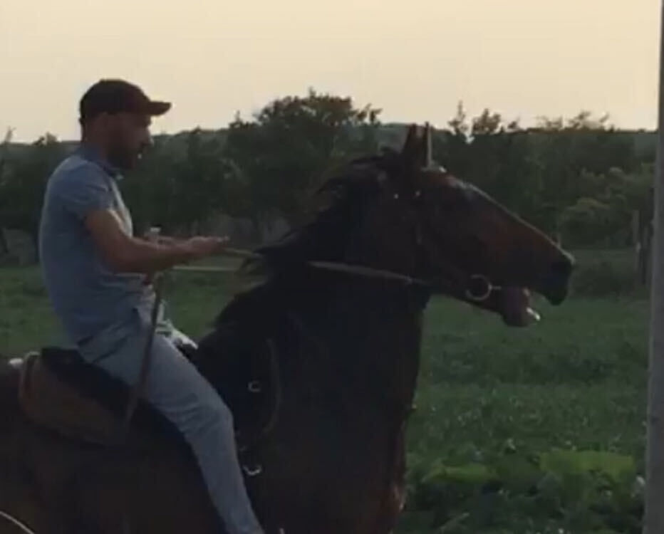 ���� 32896778 ������� ������, 39 ���, ���� ���������� � ����������