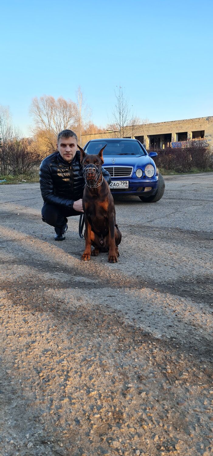 ���������� ������, ���� ������� Alex, 32 ����, ������������ ��� c�������� ���������, ���������