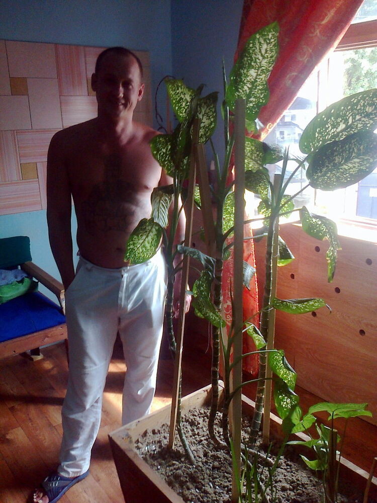  ,   Pashok, 40 ,   