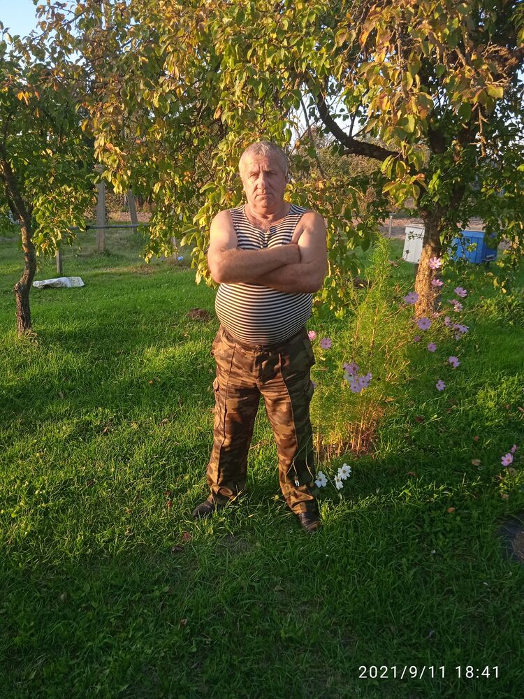  24152388  , 65 ,    