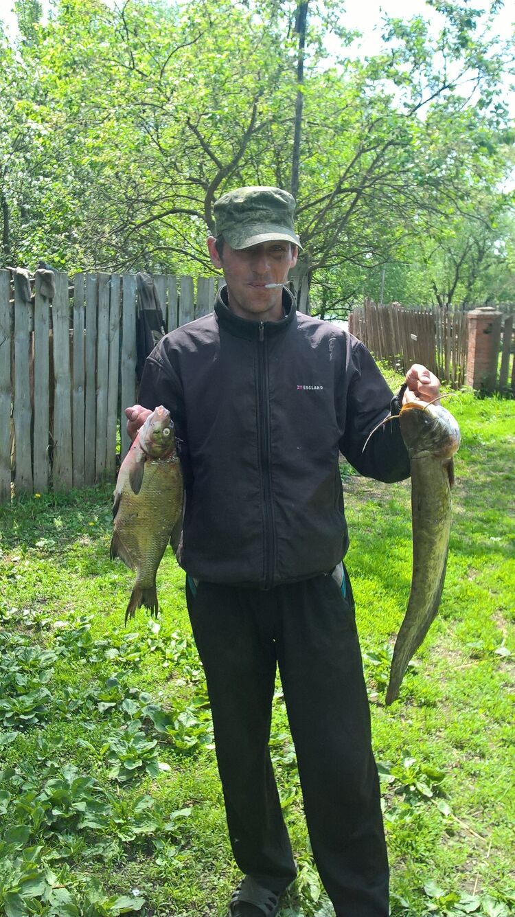  ,   , 33 ,   c 