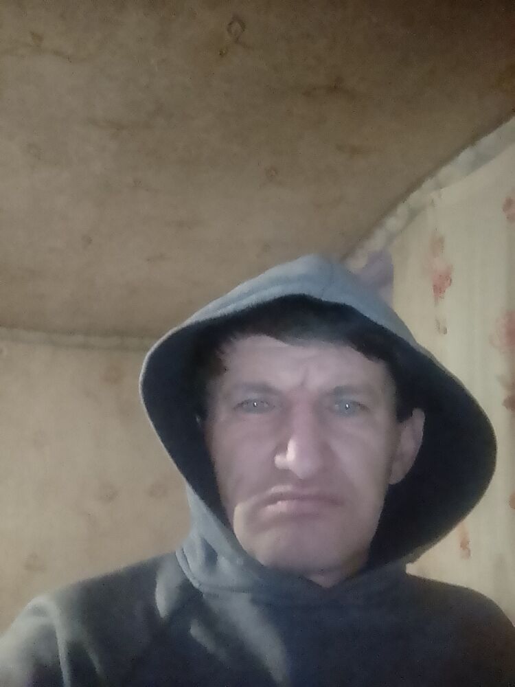  41341458  , 44 ,    