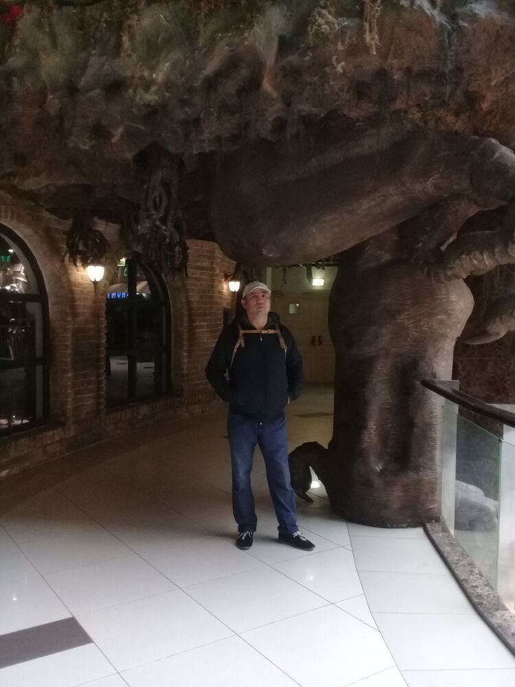 ���� 26653828 ������� ����, 40 ���, ���� ���������� � ��������