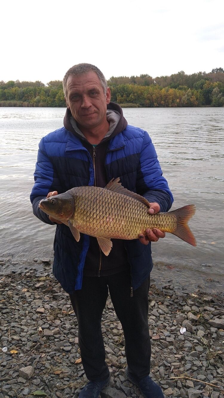 ���� 25722808 ������� ������, 44 ����, ���� ���������� � �������-��-����