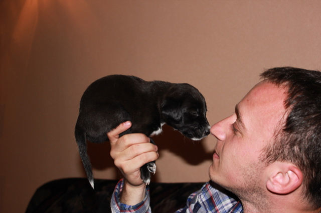  4073938  David, 39 ,    