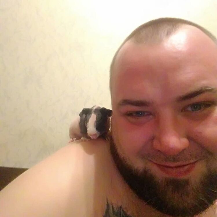 ���������� �������, ���� ������� ���������, 39 ���, ������������ ��� ������, ����� � ���������