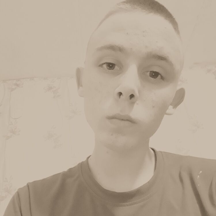  15269018  , 24 ,     