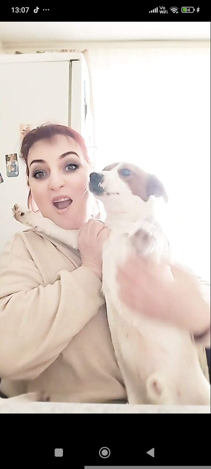 ���������� ������, ���� ������� �������, 46 ���, ������������ ��� ������, ����� � ���������