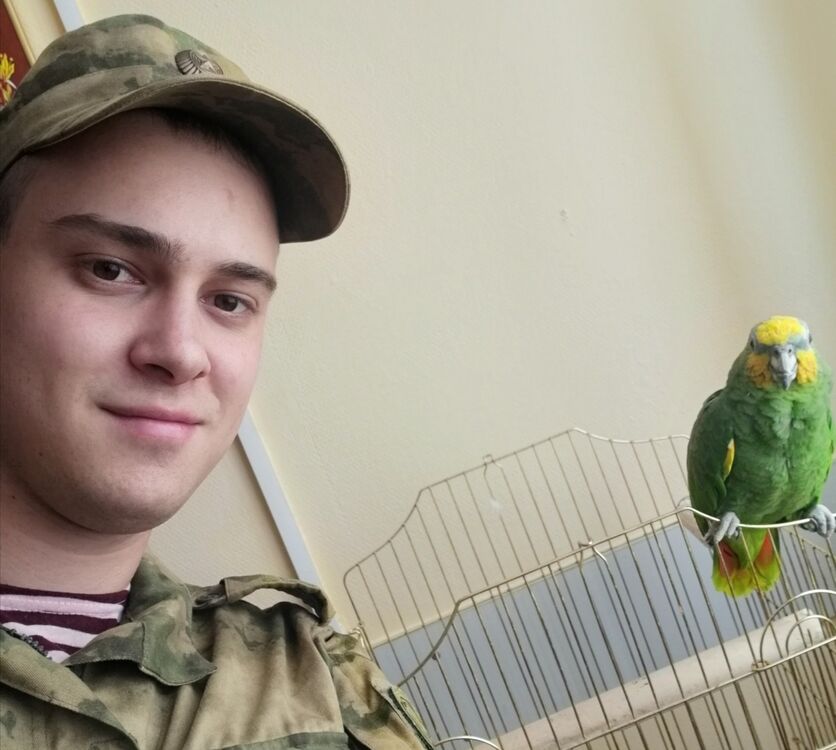 ���������� ��������, ���� ������� �����, 32 ����, ������������ ��� ������