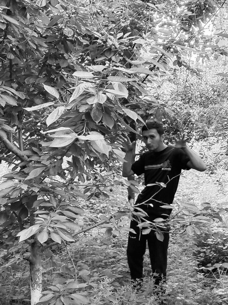 ���������� ��������, ���� ������� ����, 26 ���, ������������ ��� ������, ����� � ���������, ���������